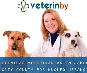 clínicas veterinárias em James City County por núcleo urbano - página 1
