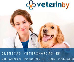 clínicas veterinárias em Kujawsko-Pomorskie por Condado - página 1