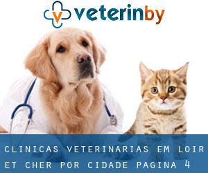 clínicas veterinárias em Loir-et-Cher por cidade - página 4