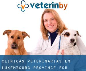clínicas veterinárias em Luxembourg Province por município - página 1