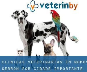 clínicas veterinárias em Nomós Serrón por cidade importante - página 1
