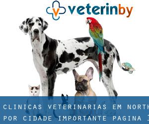clínicas veterinárias em North por cidade importante - página 1