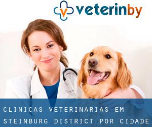 clínicas veterinárias em Steinburg District por cidade importante - página 1