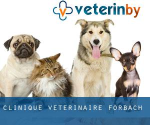Clinique Vétérinaire Forbach