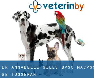 Dr. Annabelle Giles BVSc, MACVSc, BE (Tuggerah)