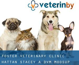 Foster Veterinary Clinic: Hattan Stacey A DVM (Moosup Valley)