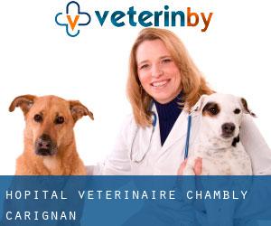Hôpital Vétérinaire Chambly (Carignan)