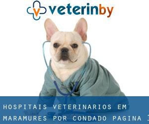 hospitais veterinários em Maramureş por Condado - página 1