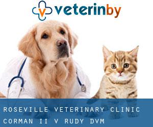 Roseville Veterinary Clinic: Corman II V Rudy DVM