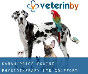 Sarah Price Equine Physiotherapy Ltd (Coleford)