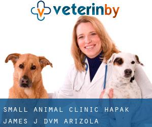 Small Animal Clinic: Hapak James J DVM (Arizola)