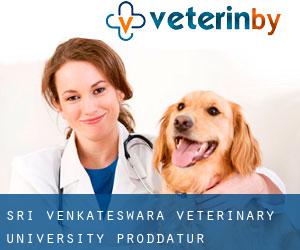 Sri Venkateswara Veterinary University (Proddatūr)