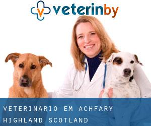 veterinário em Achfary (Highland, Scotland)