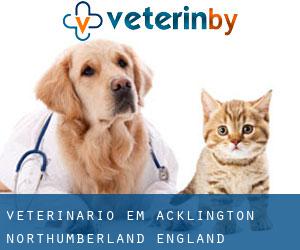 veterinário em Acklington (Northumberland, England)