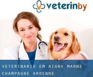 veterinário em Aigny (Marne, Champagne-Ardenne)