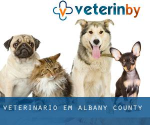 veterinário em Albany County