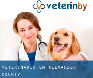 veterinário em Alexander County