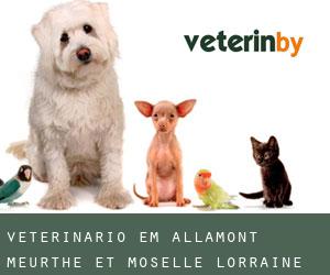 veterinário em Allamont (Meurthe et Moselle, Lorraine)