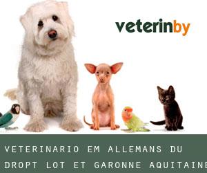 veterinário em Allemans-du-Dropt (Lot-et-Garonne, Aquitaine)