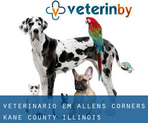 veterinário em Allens Corners (Kane County, Illinois)