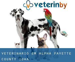 veterinário em Alpha (Fayette County, Iowa)