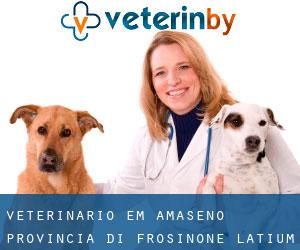 veterinário em Amaseno (Provincia di Frosinone, Latium)