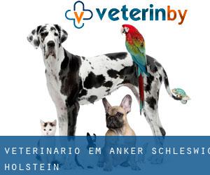 veterinário em Anker (Schleswig-Holstein)