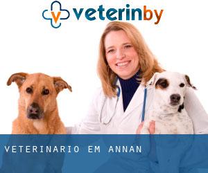 veterinário em Annan