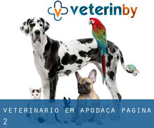 veterinário em Apodaca - página 2