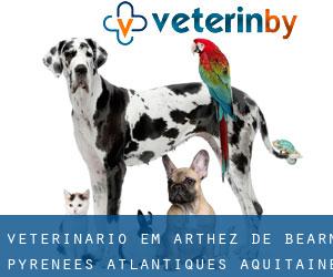 veterinário em Arthez-de-Béarn (Pyrénées-Atlantiques, Aquitaine)