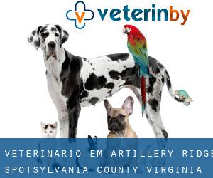 veterinário em Artillery Ridge (Spotsylvania County, Virginia)