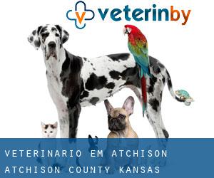 veterinário em Atchison (Atchison County, Kansas)