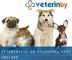 veterinário em Aylesford (Kent, England)