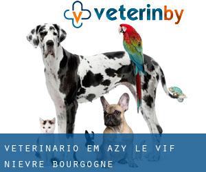 veterinário em Azy-le-Vif (Nièvre, Bourgogne)