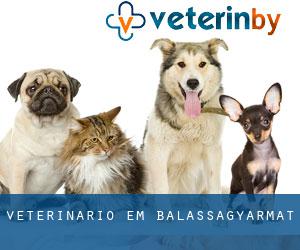 veterinário em Balassagyarmat