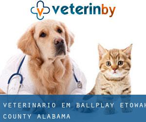 veterinário em Ballplay (Etowah County, Alabama)