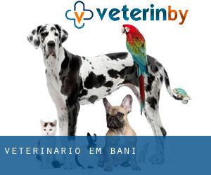 veterinário em Baní