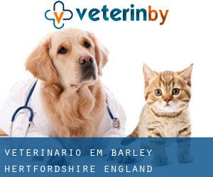 veterinário em Barley (Hertfordshire, England)
