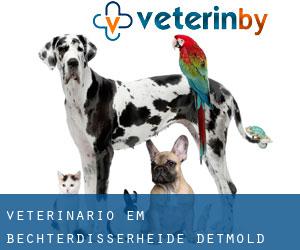 veterinário em Bechterdisserheide (Detmold District, North Rhine-Westphalia)