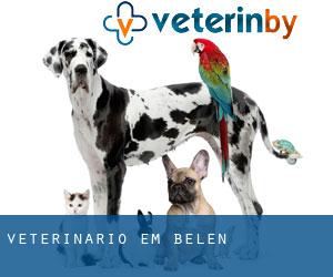 veterinário em Belén