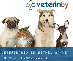 veterinário em Bethel (Wayne County, Pennsylvania)