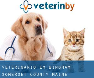 veterinário em Bingham (Somerset County, Maine)