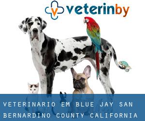 veterinário em Blue Jay (San Bernardino County, California)