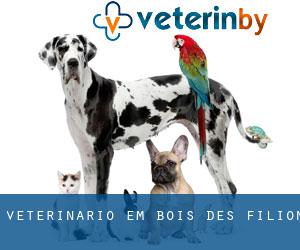 veterinário em Bois-des-Filion