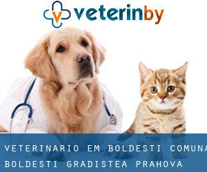 veterinário em Boldeşti (Comuna Boldeşti-Gradiştea, Prahova)