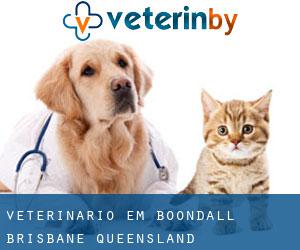 veterinário em Boondall (Brisbane, Queensland)