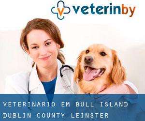 veterinário em Bull Island (Dublin County, Leinster)