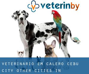 veterinário em Calero (Cebu City, Other Cities in Philippines)