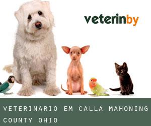 veterinário em Calla (Mahoning County, Ohio)