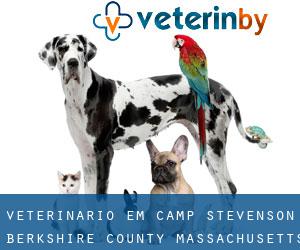 veterinário em Camp Stevenson (Berkshire County, Massachusetts)